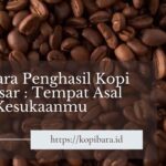 7 Negara Penghasil Kopi Terbesar Tempat Asal Kopi Kesukaanmu