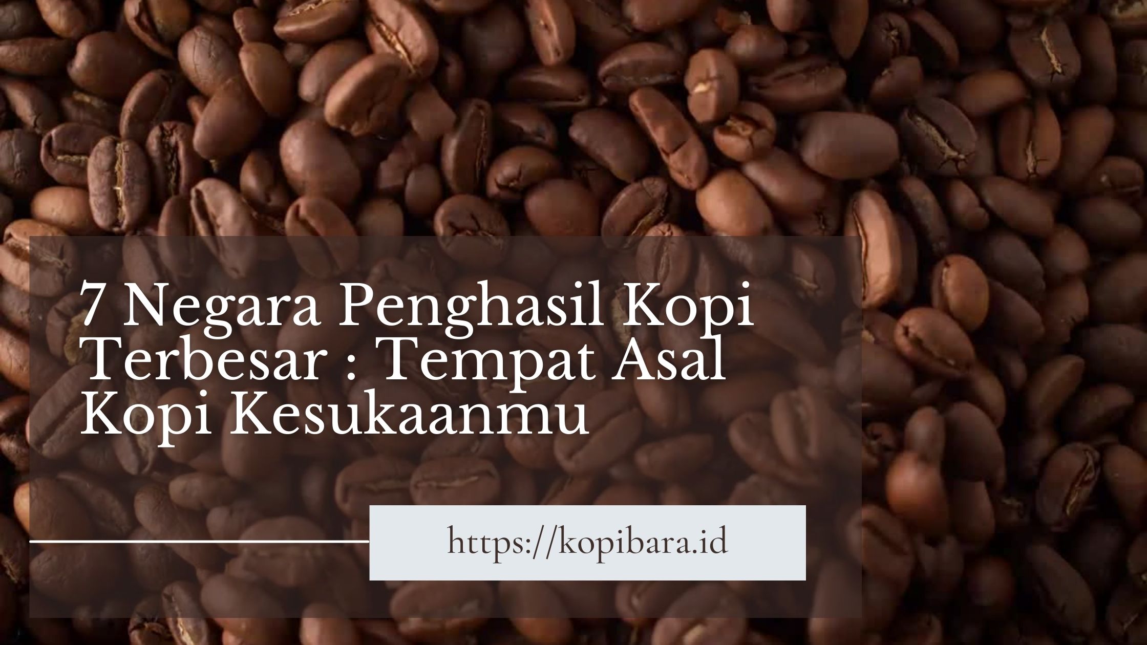 7 Negara Penghasil Kopi Terbesar Tempat Asal Kopi Kesukaanmu