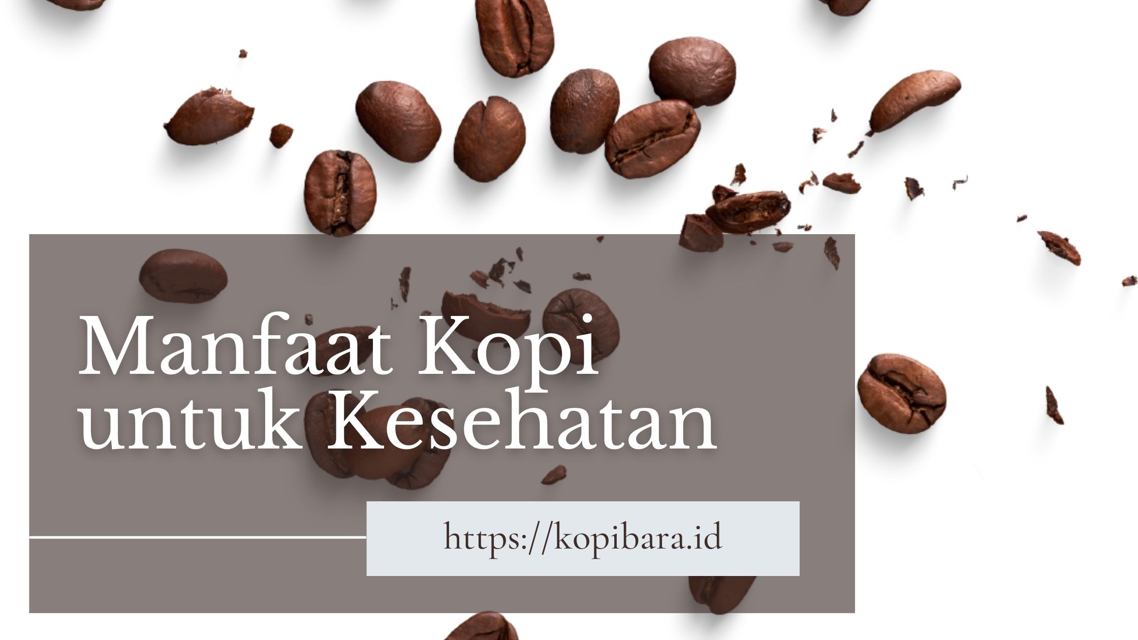 8 Manfaat Kopi untuk Kesehatan Nikmatnya Sebuah Minuman yang Menghidupkan