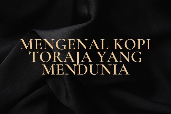 Mengenal Kopi Toraja Yang Mendunia