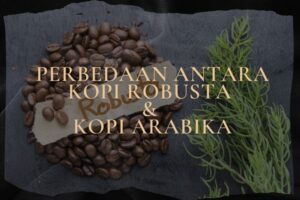 5 Perbedaan Antara Kopi Robusta dan Kopi Arabika